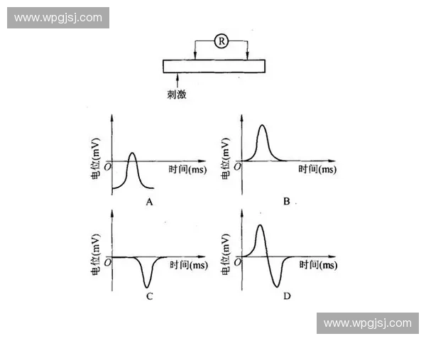 动作调控在生物学研究中的应用与发展趋势探讨