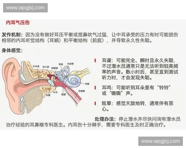 耳压平衡的科学原理与日常应用方法全面解析